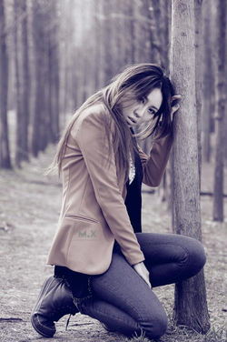 法国满天星壮志凌云系列内容